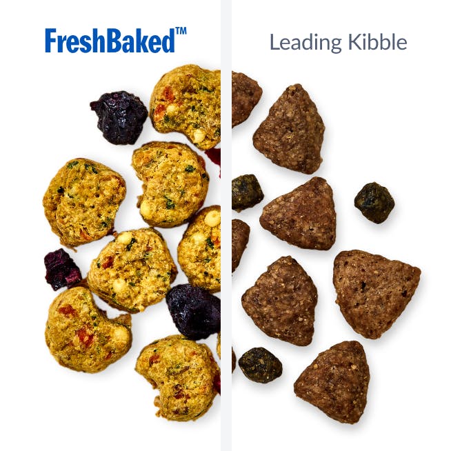Fresh Baked Vs Leading Kibble Comparison