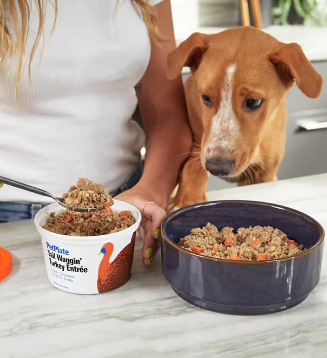 PetPlate: Fresh Dog Food Delivery