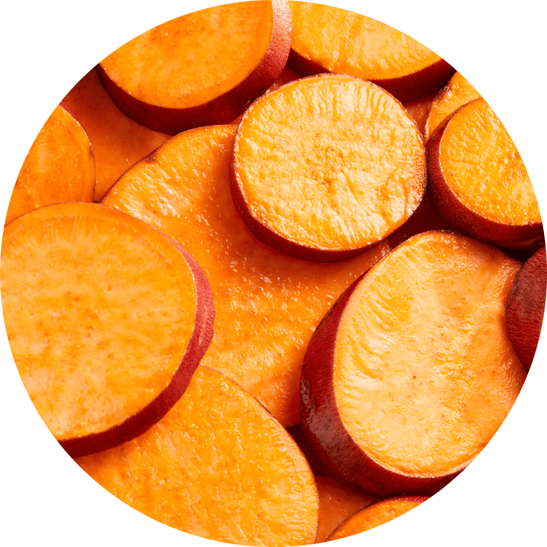 healthy-organic-dog-treats-with-beef-sweet-potato-bites