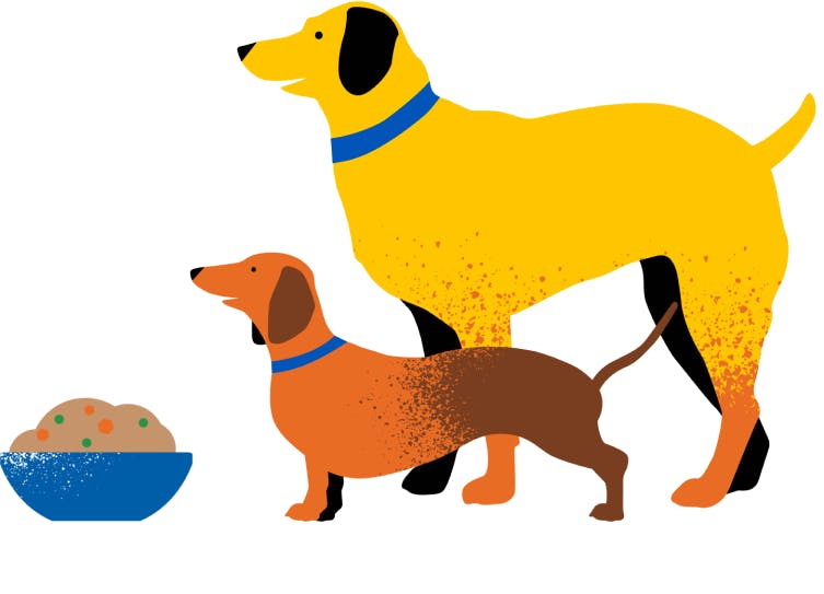 illustration of two dogs with bowl of food