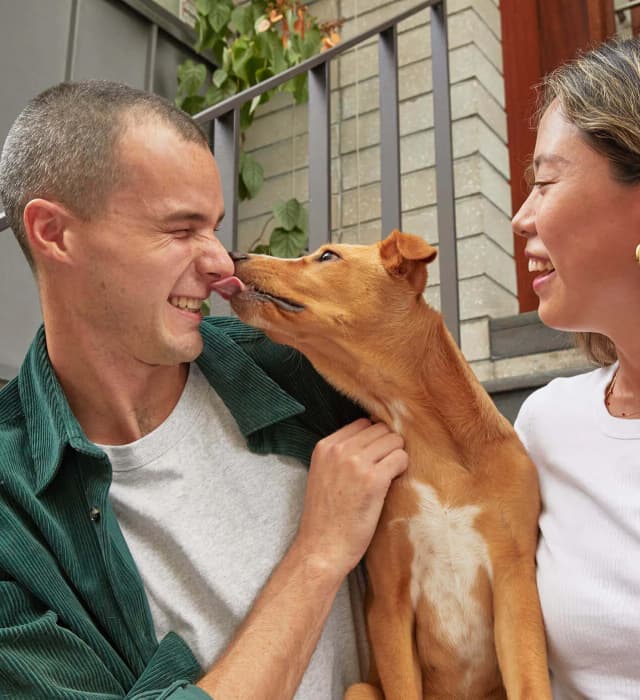 dog licking mans face