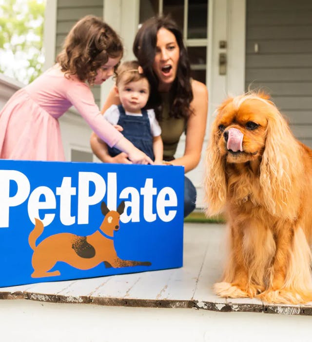 family receiving their PetPlate box