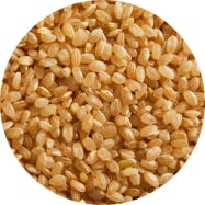 Brown Rice-ingredient