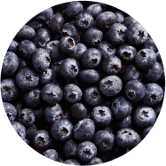 Blueberries-ingredient