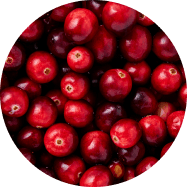 Cranberries-ingredient