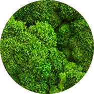 Broccoli-ingredient