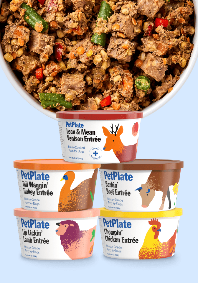 FreshCooked product containers thumbnail