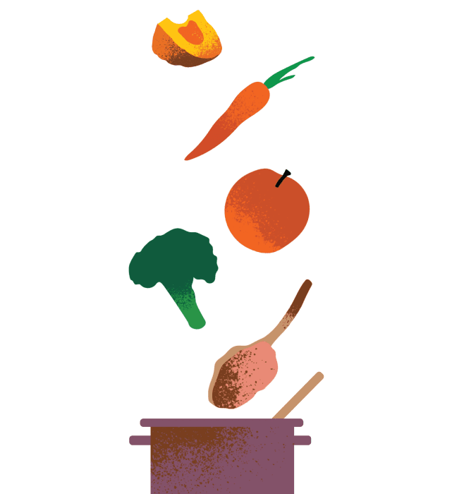 Ingredients Illustration