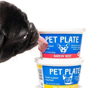 Dog licking PetPlate containers