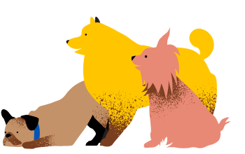 three dogs illustration