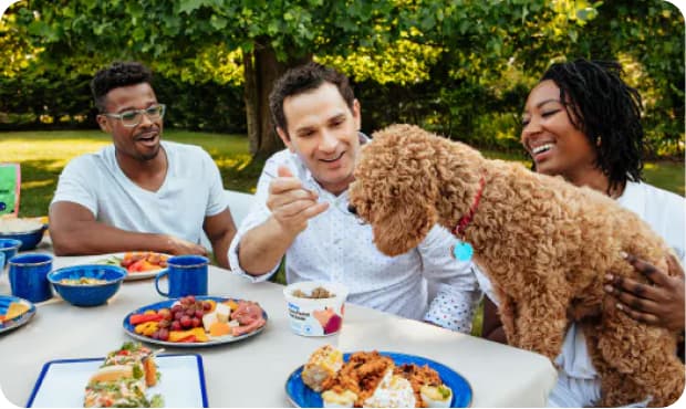 People at picnic with dog