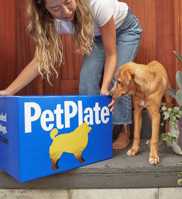 Person picking up PetPlate delivery
