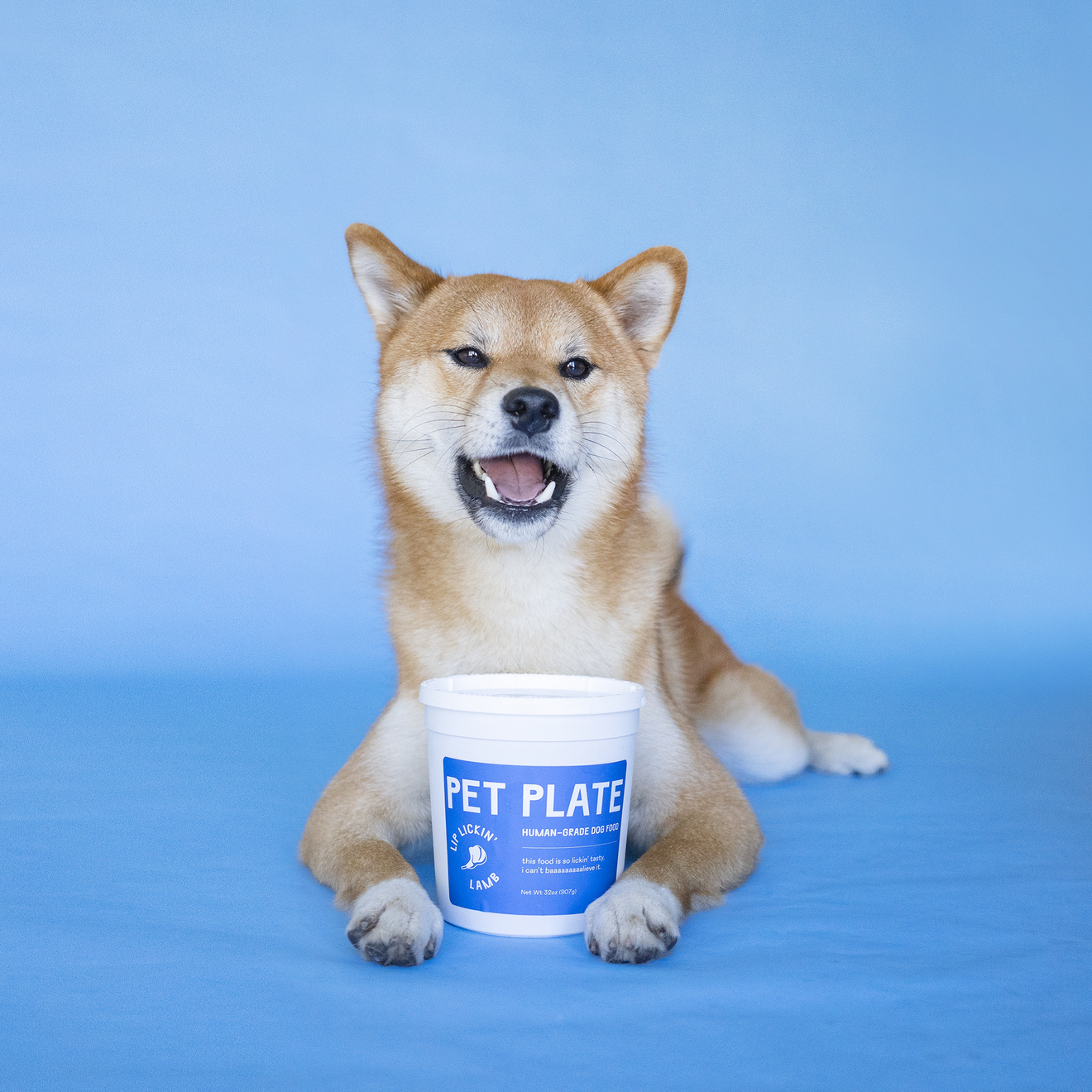 A dog with a Pet Plate container