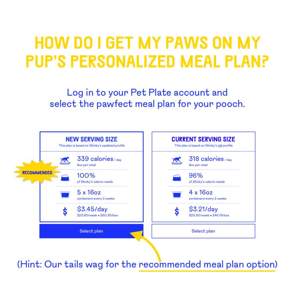 How do I get my paws on my pup's personalized meal plan?