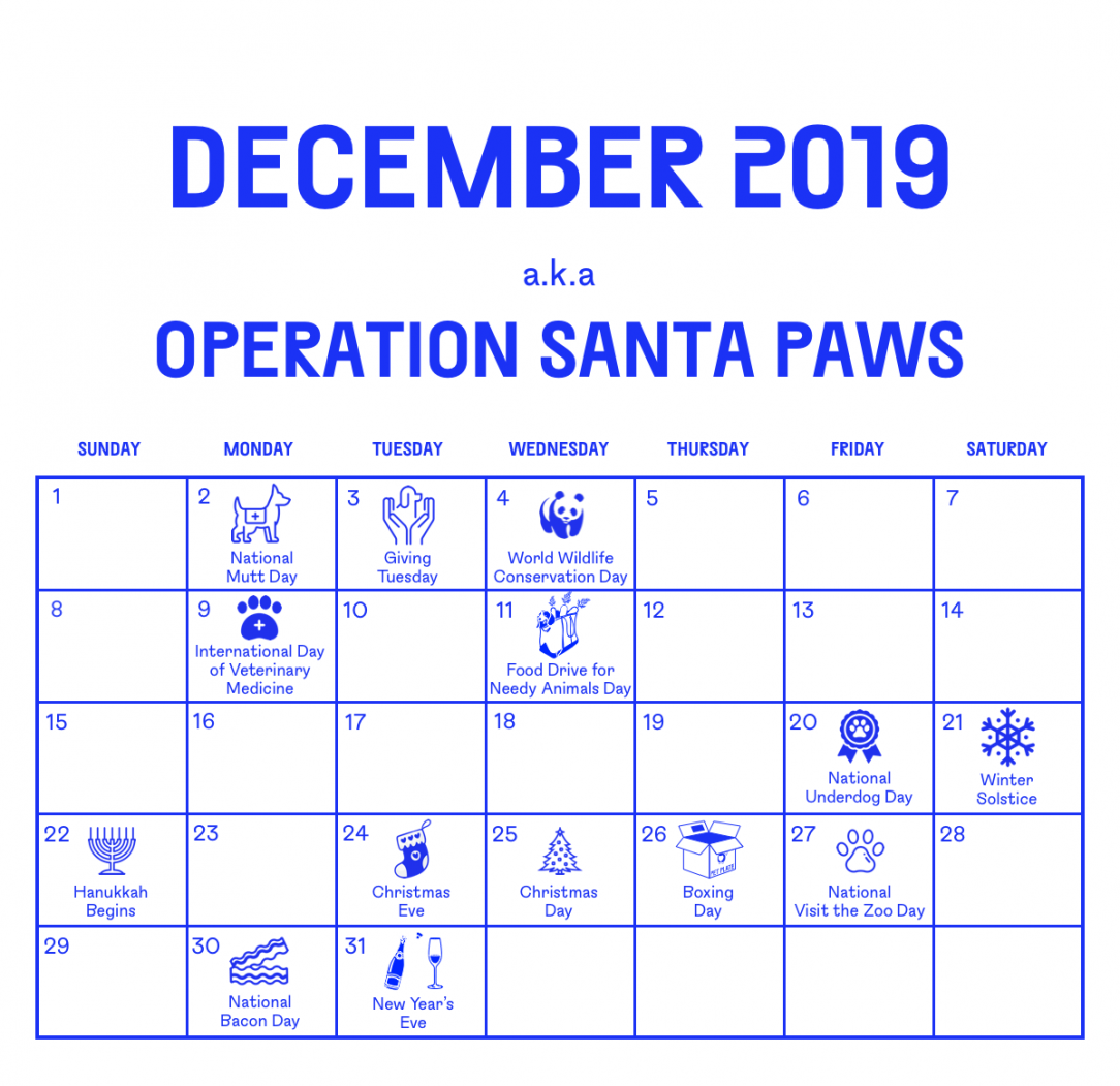 Calendar of December 2019 events