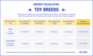 Toy Breeds