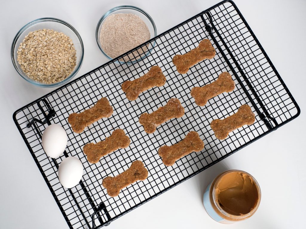 homemade dog treats