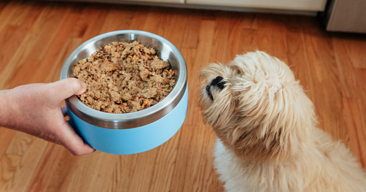 How much should a 12 pound dog eat