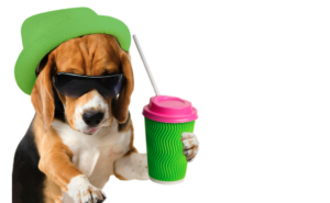 gen z dog